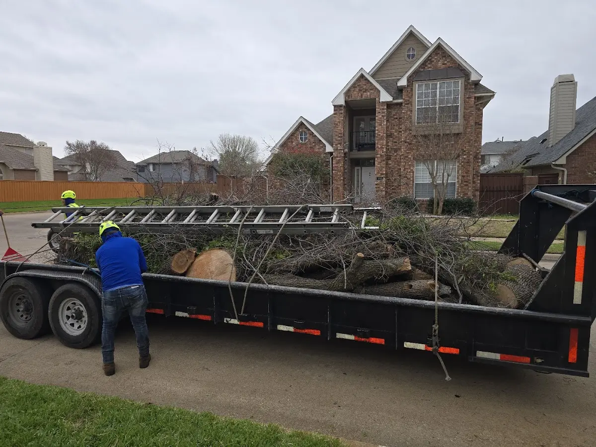 Expert Lot Clearing with proper safety equipment in Corydon
